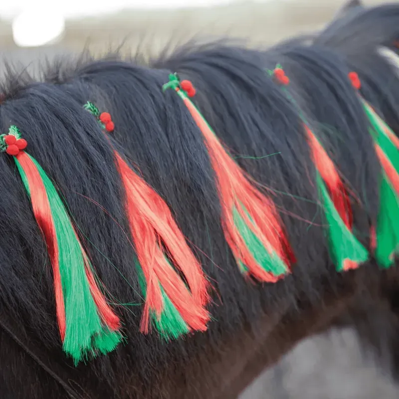 Equetech One Size 5 Pack Christmas Holly Festive Horse Mane Tassels in Green-1