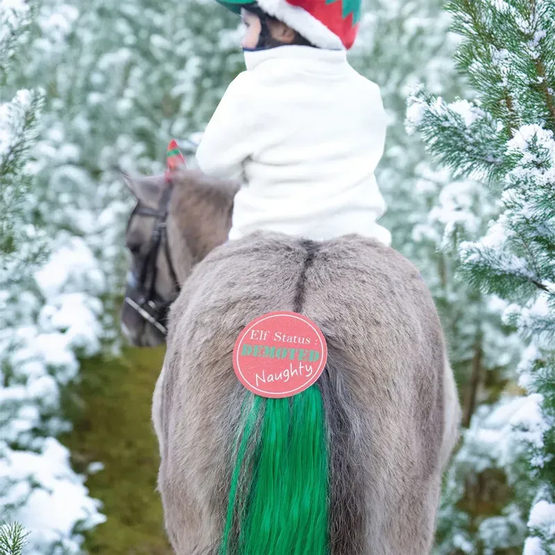 Equetech Cheeky Elf Festive Christmas Tail Tassel in Green-1