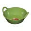 Red Gorilla Small Plas Feed Skip in Pistachio