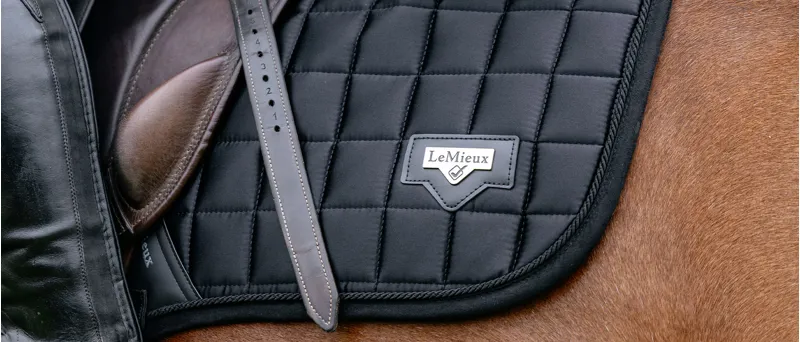 The LeMieux Loire Collection