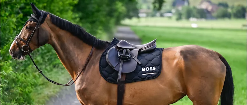 BOSS Equestrian Horse Collection
