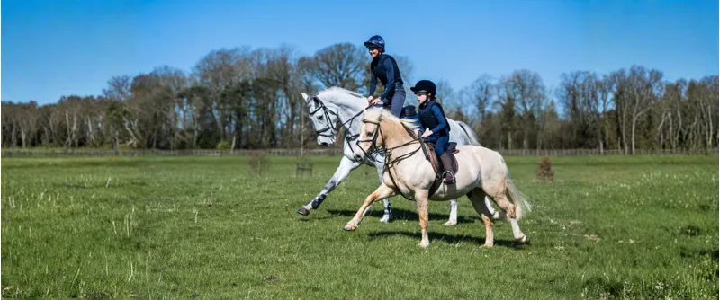 USA Equestrian Safety Standards Explained: Riding Helmets and Body Protectors