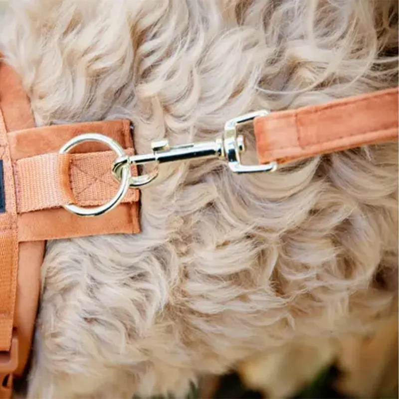 Kentucky Velvet Dog Leash - Orange-3