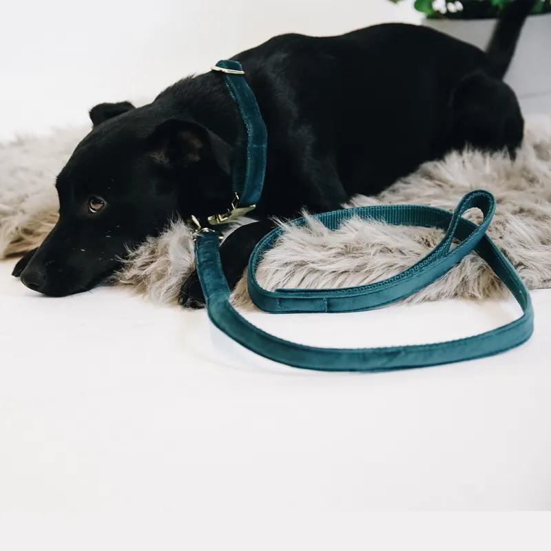 Kentucky Velvet Dog Leash - Emerald-3