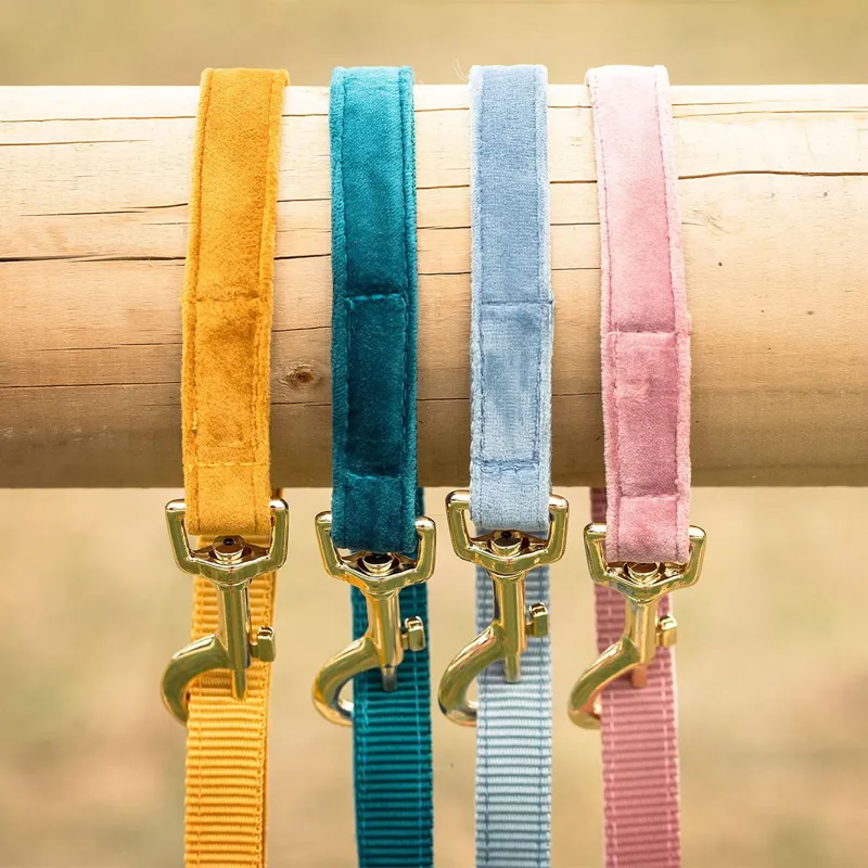Kentucky Velvet Dog Leash - Emerald-5