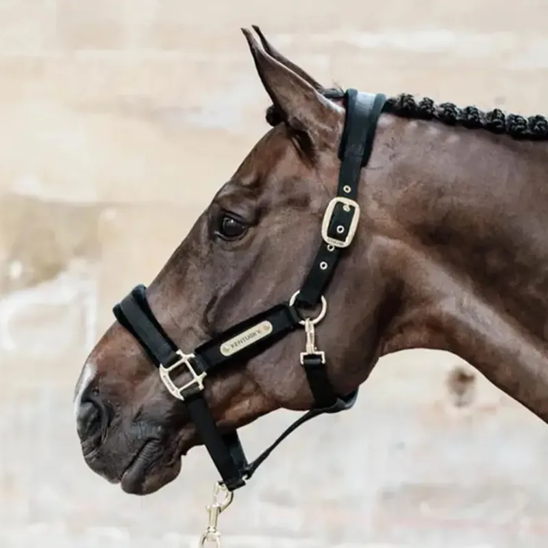 Kentucky Velvet Halter - Black