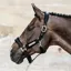 Kentucky Velvet Halter - Black