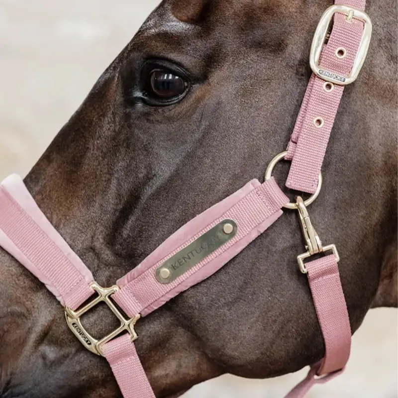 Kentucky Velvet Halter - Old Rose-2