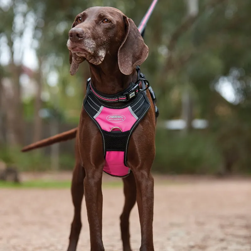 WeatherBeeta Anti-Pull/Travel Dog Harness - Black/Pink-2