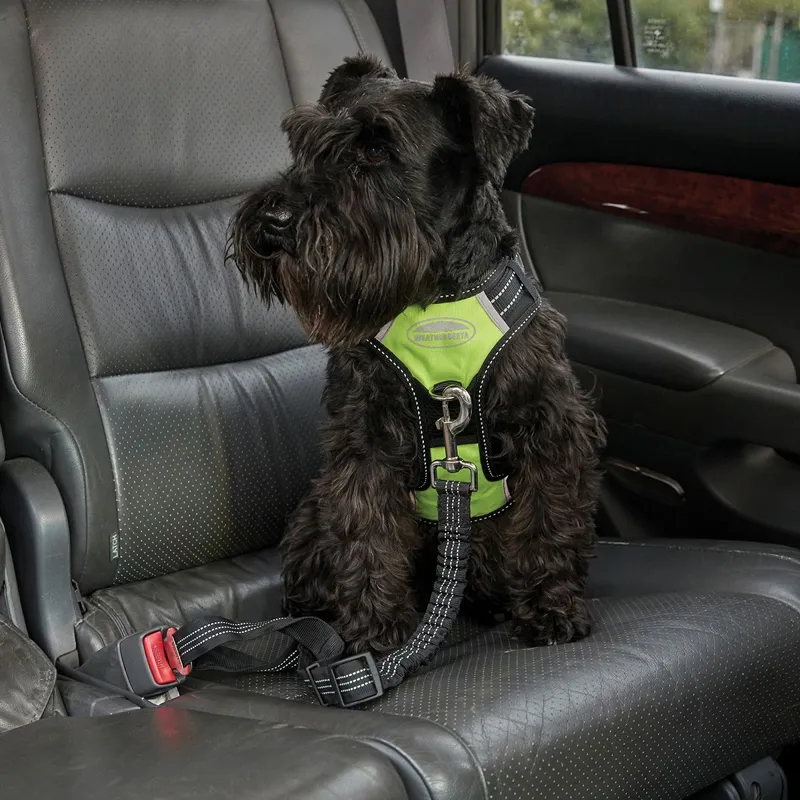 WeatherBeeta Anti-Pull/Travel Dog Harness - Black/Yellow-3