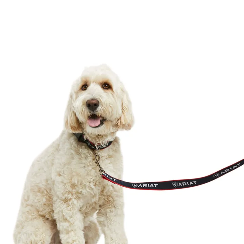 Ariat Dog Leash - Team Navy-1
