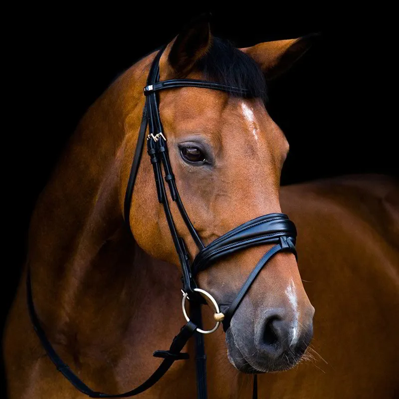 Stubben Clare 2 in 1 Bridle with Removable Flash - Black-1