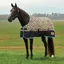 Saxon Defiant 600D Standard Neck 200g Turnout Blanket - Leopard Print