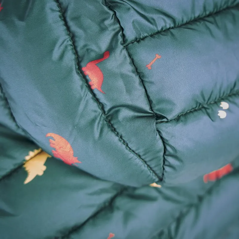 Tikaboo Junior Padded Jacket - Dinosaur-2