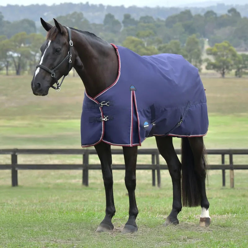 WeatherBeeta ComFiTec Essential 100g Turnout Blanket - Navy/Burgundy-1