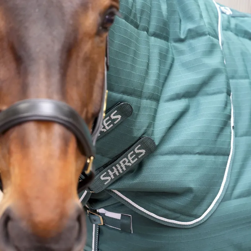 Shires Tempest Original 600D 200 Detach-A-Neck Stable Blanket Emerald-9