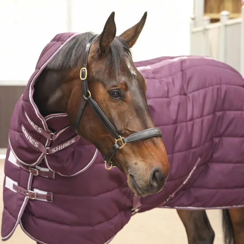 Shires Tempest Original 600D 300 Detach-A-Neck Stable Blanket - Burgundy-7