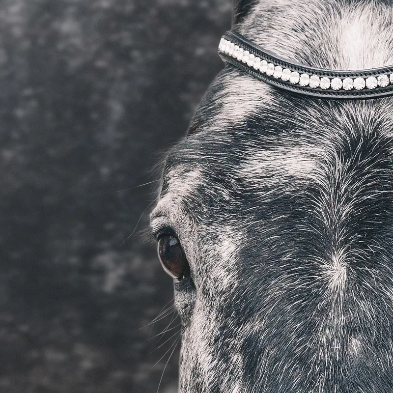 Schockemohle Equitus Beta Anatomic Bridle - Patent Black/Silver-3