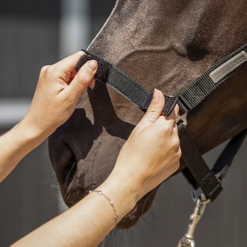 QHP Tack Up Halter - Black-1