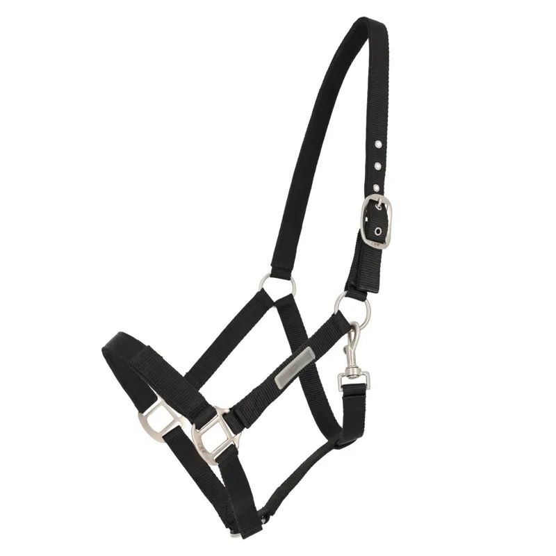 QHP Tack Up Halter - Black