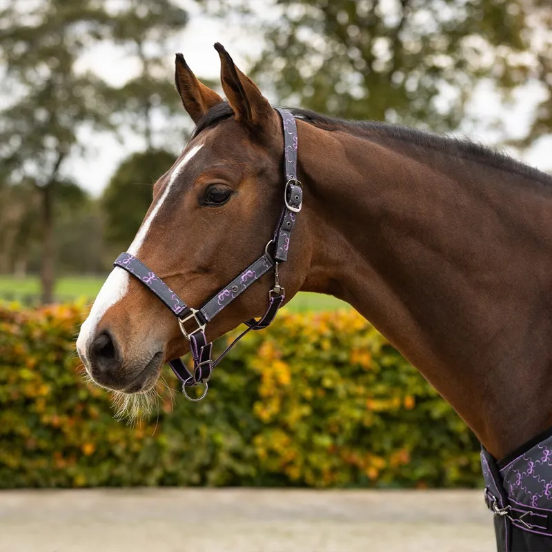 QHP Collection Halter and Lead Rope Set - Bouncing Bows-1