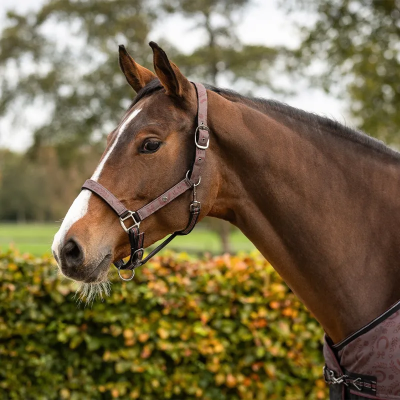 QHP Collection Halter and Lead Rope Set - Whispering Woods-1