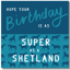 Gubblecote Greeting Card - Super As A Shetland