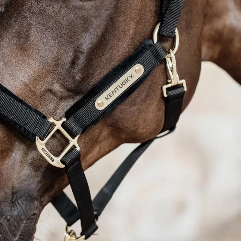Kentucky Velvet Halter - Black-2