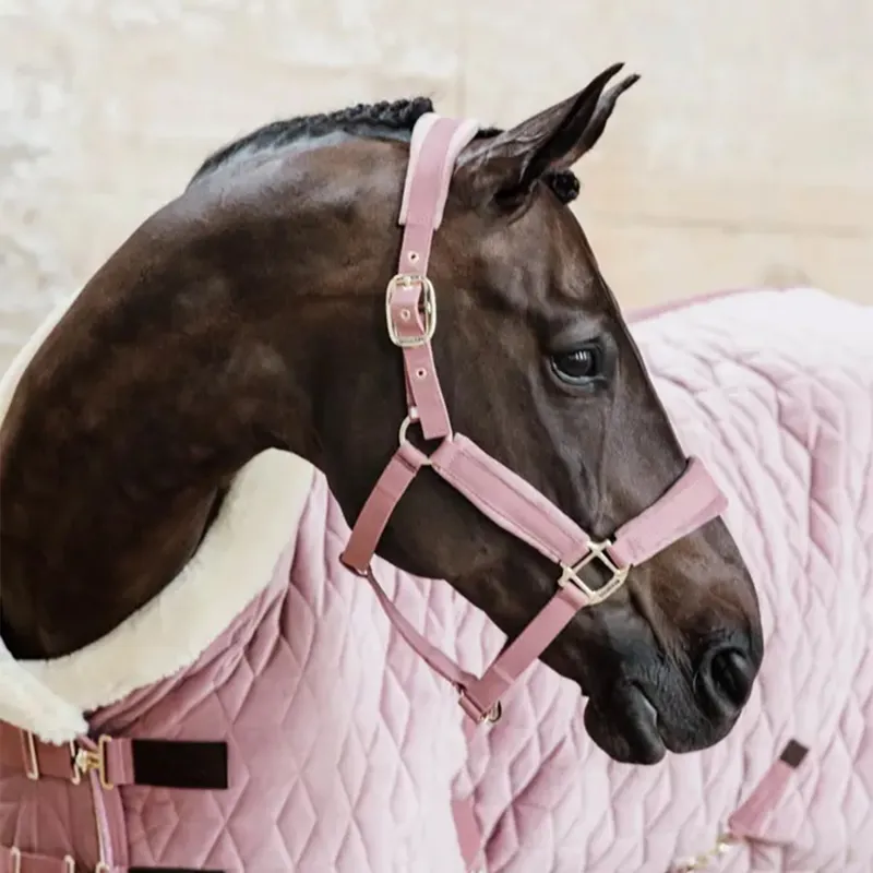 Kentucky Velvet Halter - Old Rose