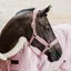 Kentucky Velvet Halter - Old Rose