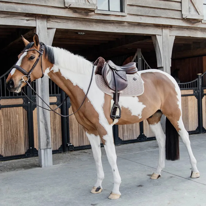 Kentucky Skin Friendly Velvet Jumping Saddle Pad - Beige-2