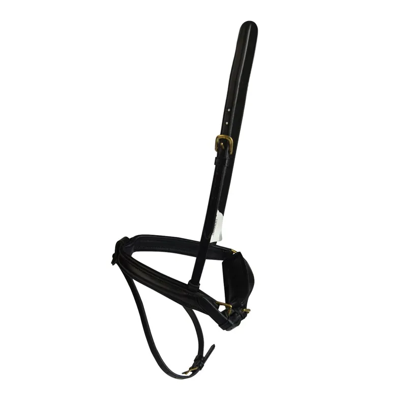 Stephens Drawtite Padded Flash Noseband with Chinpad - Black/Brass-1