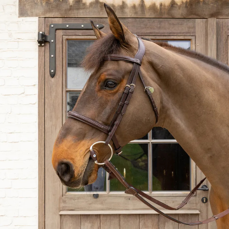 Velari Mullen Mouth Hard Flex Eggbutt Snaffle Bit-1