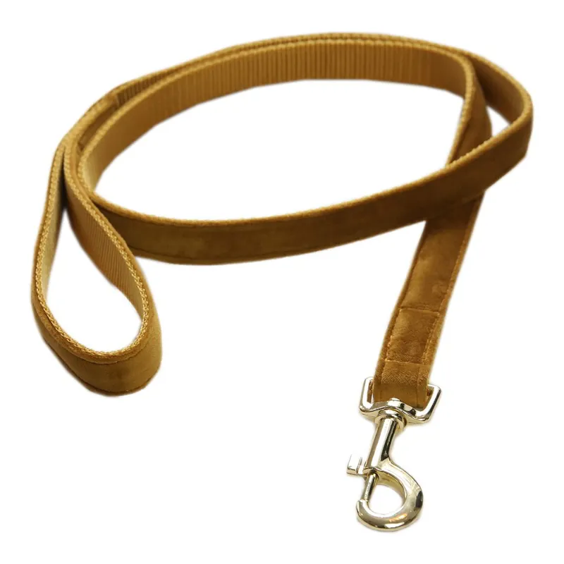 Kentucky Velvet Dog Leash - Mustard-3