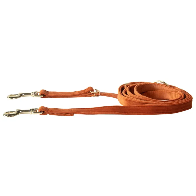 Kentucky Velvet Dog Leash - Orange-2