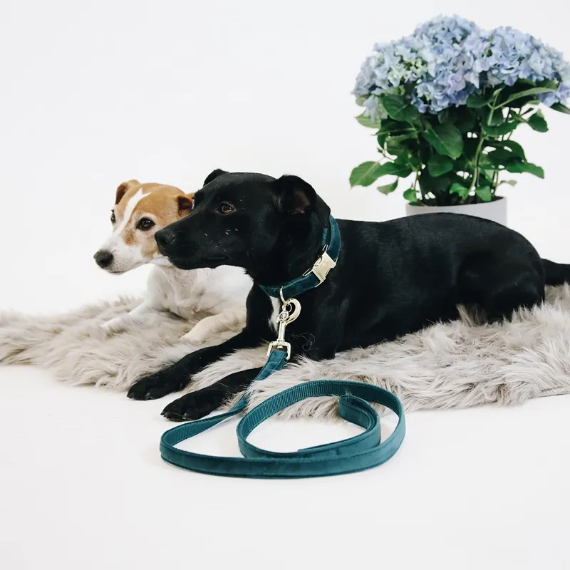 Kentucky Velvet Dog Leash - Emerald-1