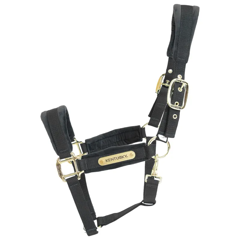 Kentucky Velvet Halter - Black-1