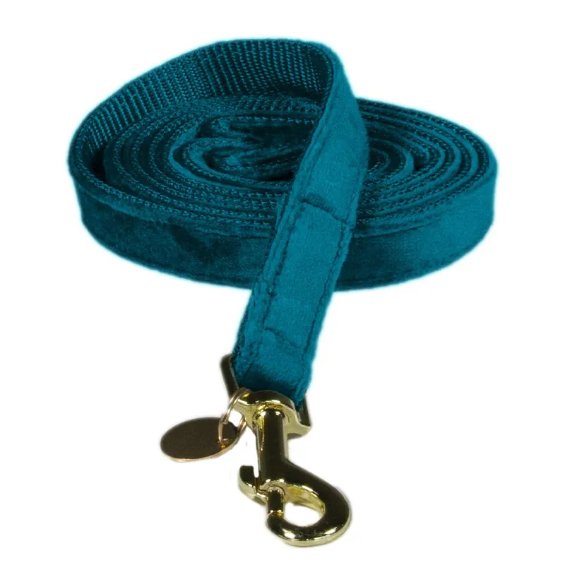 Kentucky Velvet Dog Leash - Emerald-4