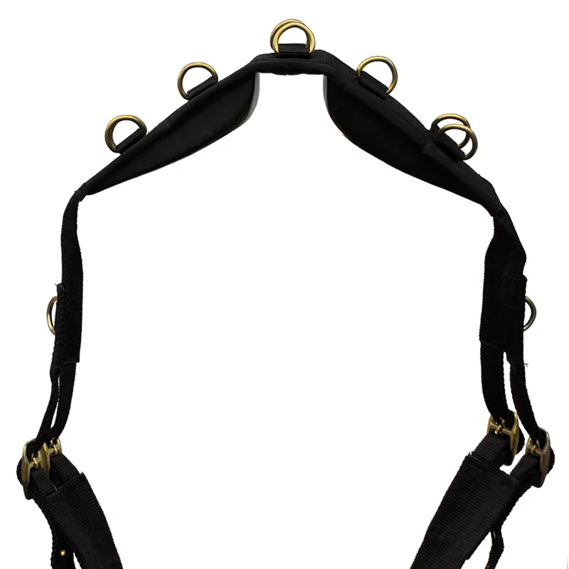 Windsor Nylon Lunging Surcingle - Black