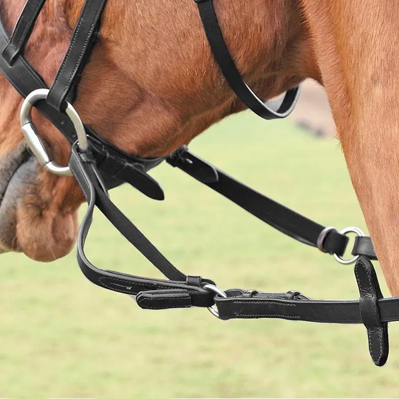 Shires Flexi-Rein - Black-1
