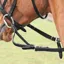 Shires Flexi-Rein - Black