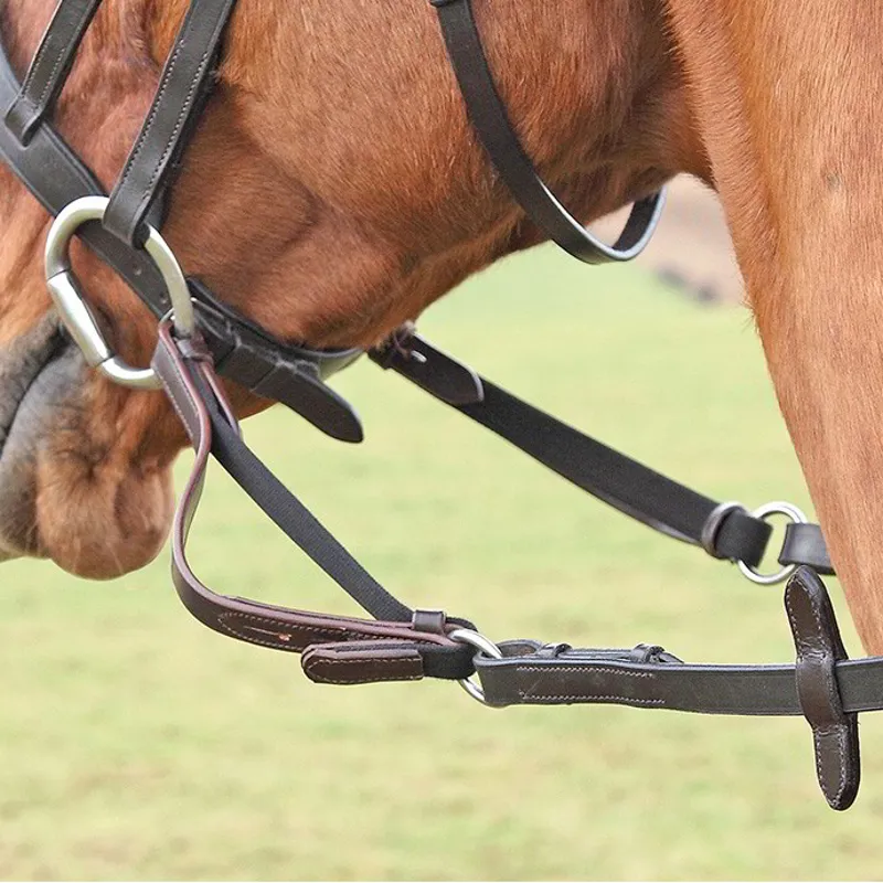 Shires Flexi-Rein - Havana-1