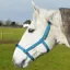 Rhinegold Field Safe Nylon Halter - Turquoise