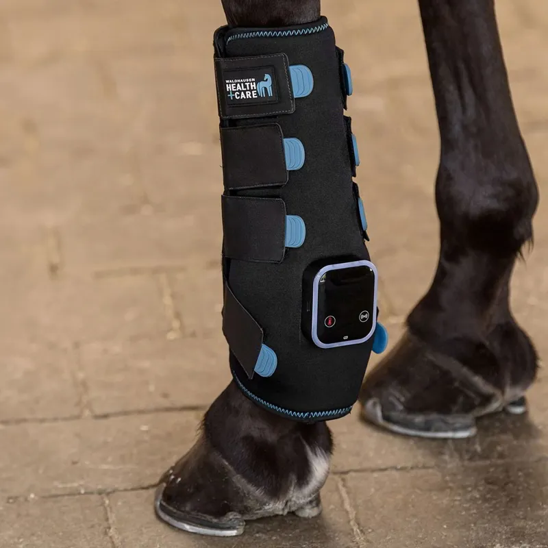 Waldhausen Health + Care TecSupreme Tendon Stable Boot - Black