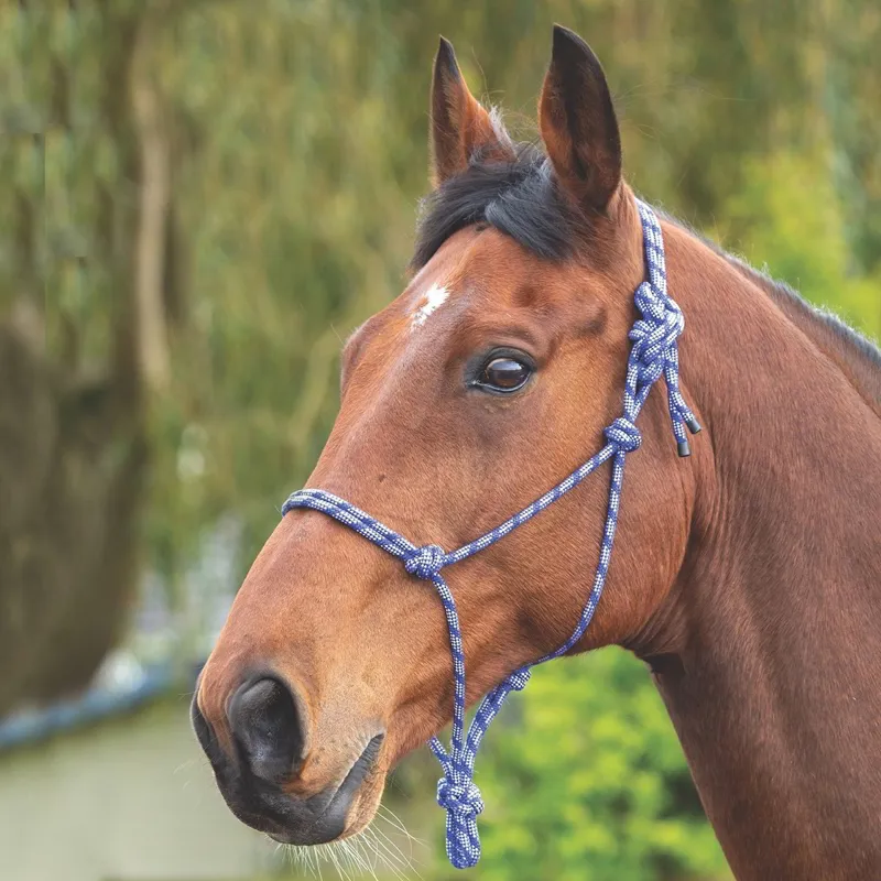 Shires Rope Controller Halter - Navy/White
