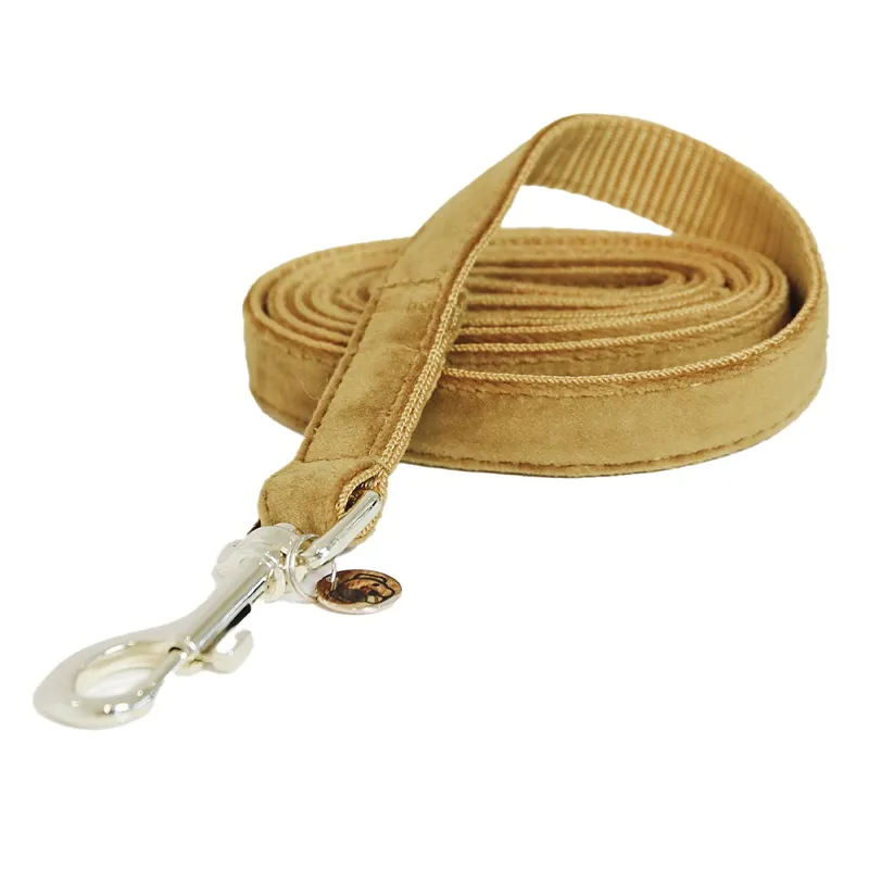 Kentucky Velvet Dog Leash - Mustard-1