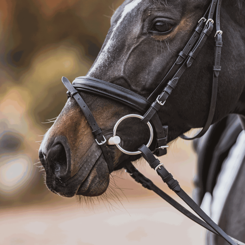 Sprenger Duo Loose Ring Snaffle Bit-1