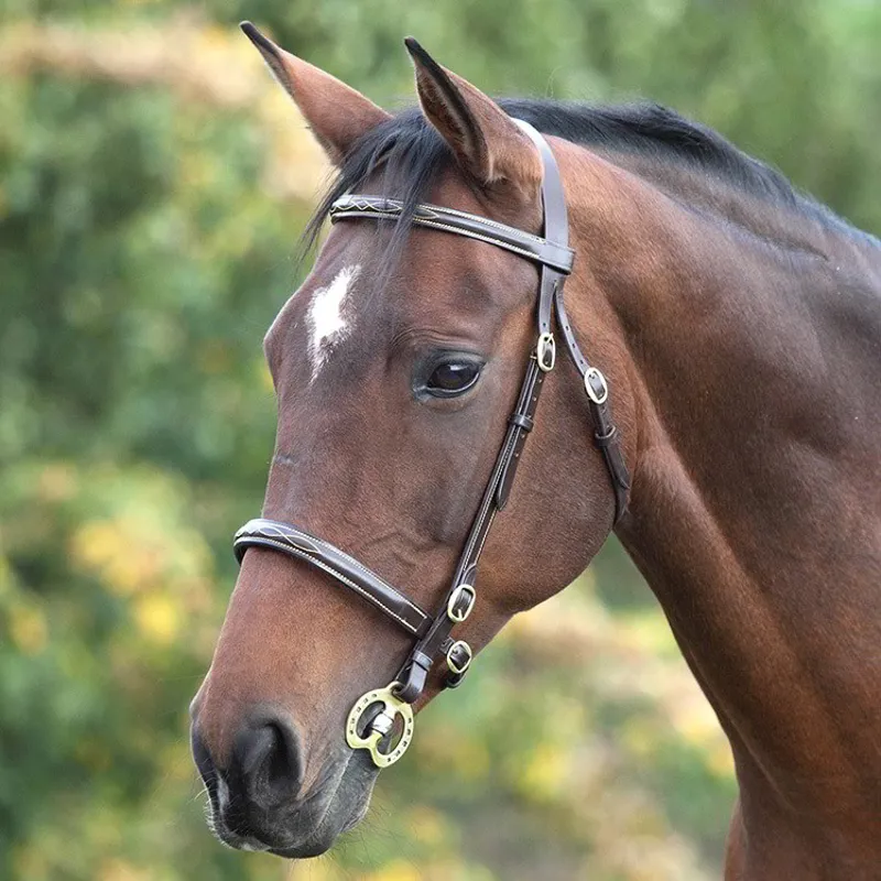 Velociti GARA Fancy Stitched In-Hand Bridle - Havana