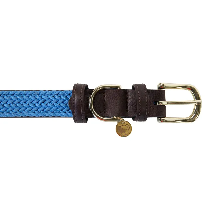 Kentucky Braided Nylon Dog Collar - Light Blue-2