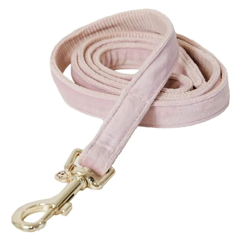 Kentucky Velvet Dog Leash - Soft Rose